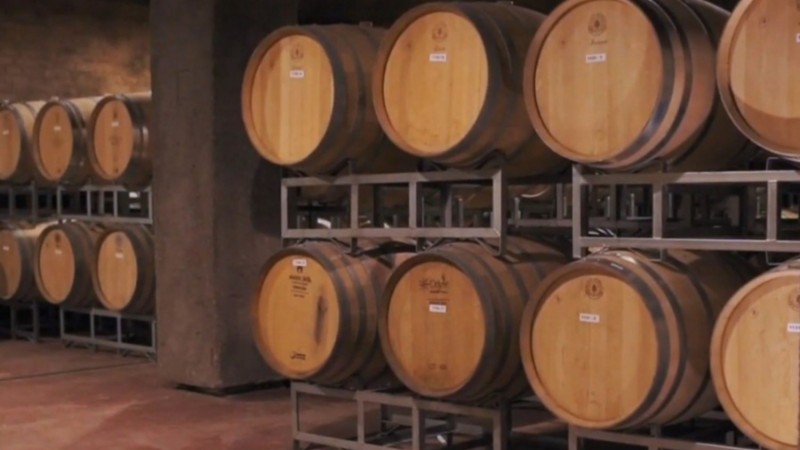 Ahora, Antigal Winery es una bodega sustentable
